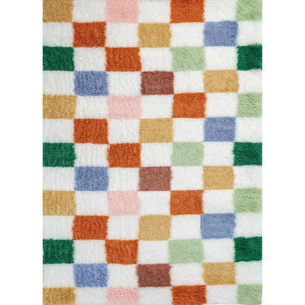 Checkered Colorful Shag Washable Area Rug